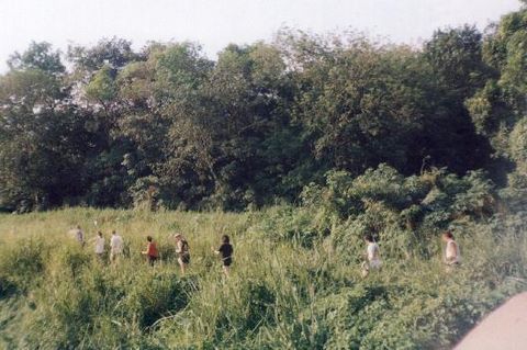 176_02.jpg