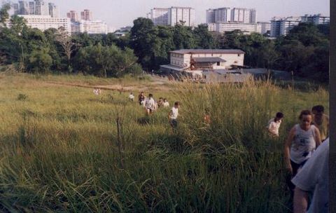 176_03.jpg