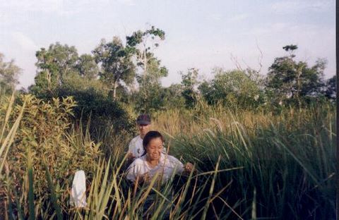 176_04.jpg