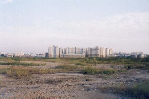 176_05.jpg