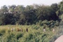 176_02.jpg