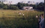 176_03.jpg