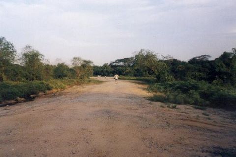 178_04.jpg