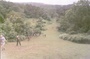 188_04.jpg