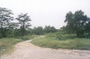 193_03.jpg