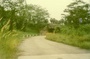 193_04.jpg