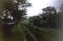 194_02.jpg