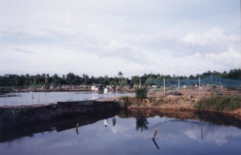100_05.jpg