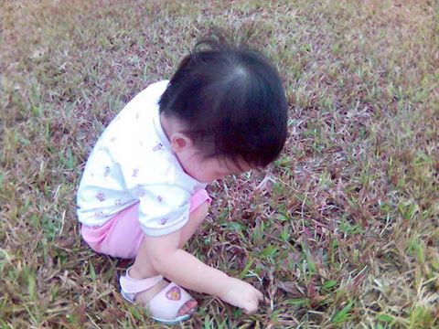 picture_3_.jpg