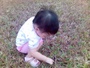 picture_3_.jpg