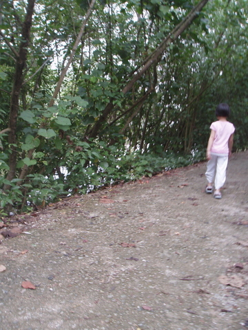 P6210339.jpg