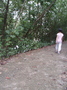 P6210339.jpg