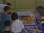 P8150572a.JPG