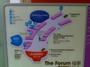 10092010264.jpg