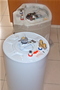 P7250431_sm.jpg
