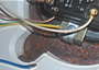 P7250436_sm.jpg